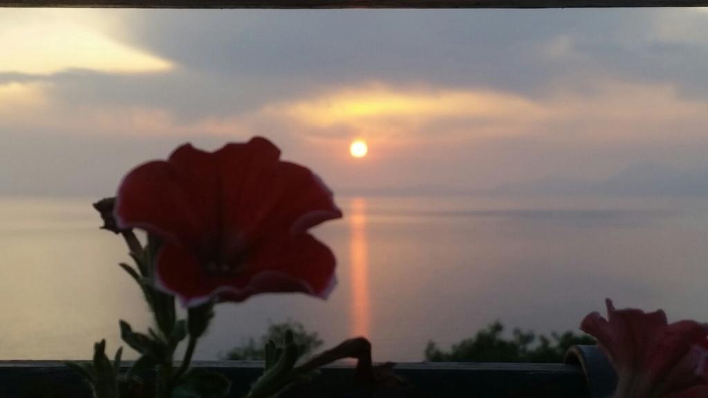 B&B "L'Eco Del Mare" Agropoli Luaran gambar